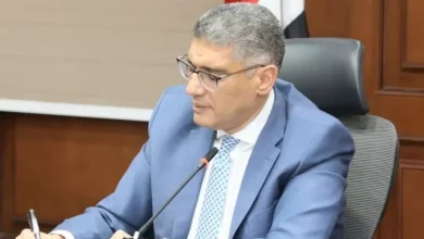 محافظ الجيزة