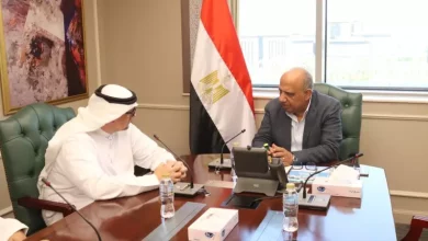وزير الكهرباء