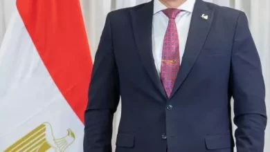 الإنتاج الحربي
