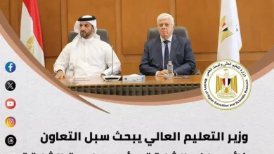 التعليم العالي