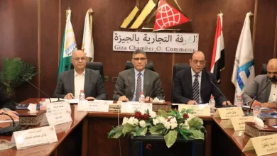 محافظ الجيزة