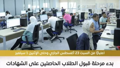 الجامعات المصرية