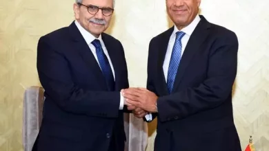 وزير الخارجية