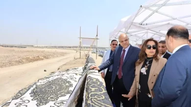 وزيرة التنمية