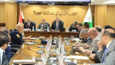 محافظ الجيزة