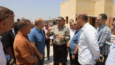محافظ الجيزة