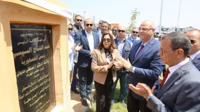 وزيرة التنمية