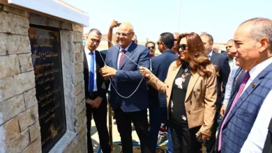 وزيرة التنمية