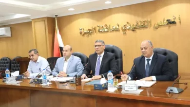 محافظ الجيزة