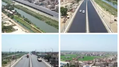 قطاع الأعمال