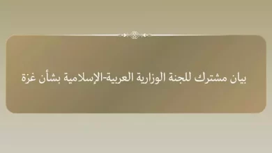 اللجنة الوزارية العربية الإسلامية