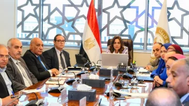 التنمية المحلية