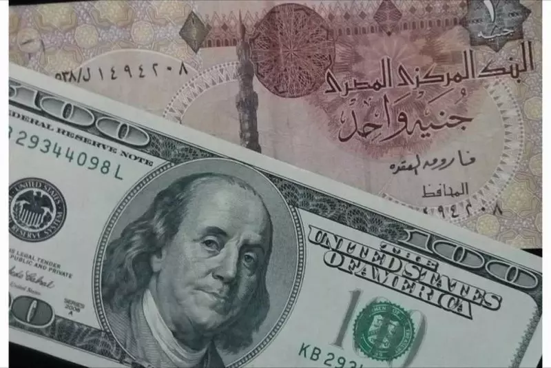 الدولار مقابل الجنيه