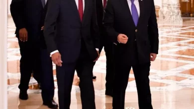 الرئيس السيسي