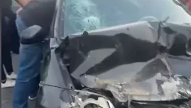 طريق الواحات