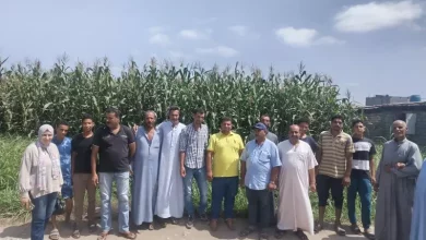الزراعة