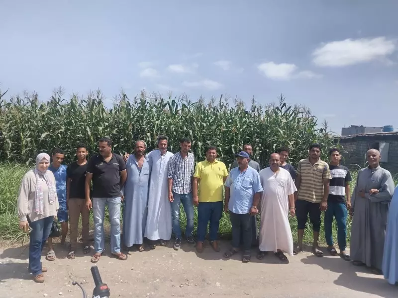 الزراعة