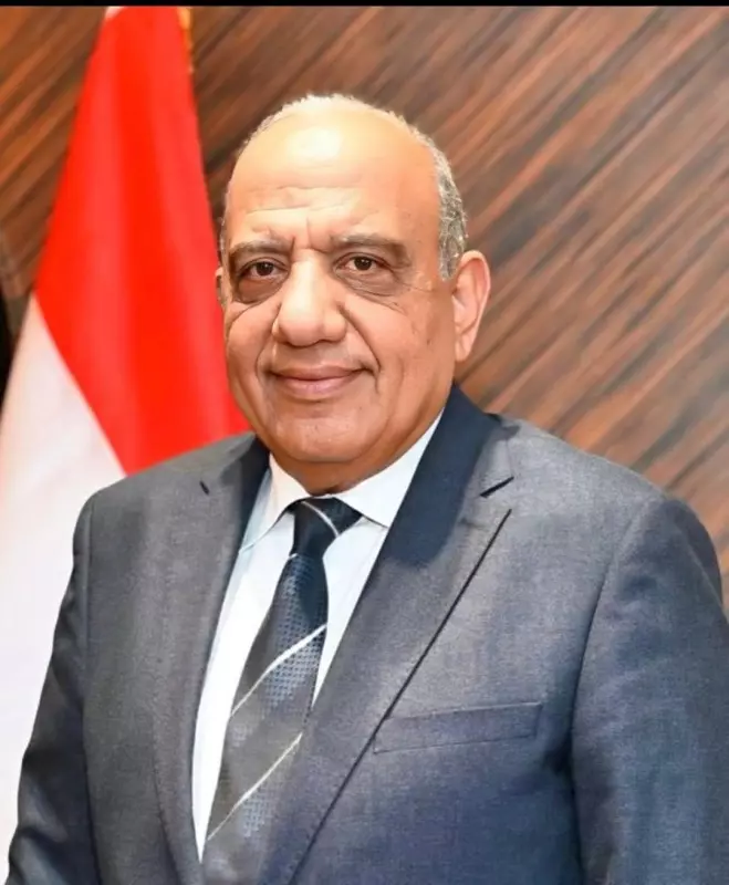 وزير الكهرباء