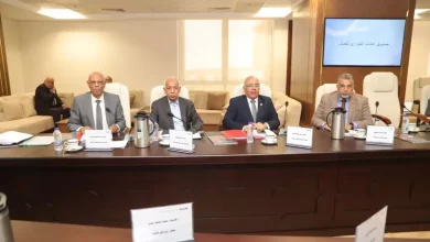 صندوق إعانات الطوارئ
