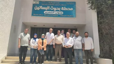 الزراعة