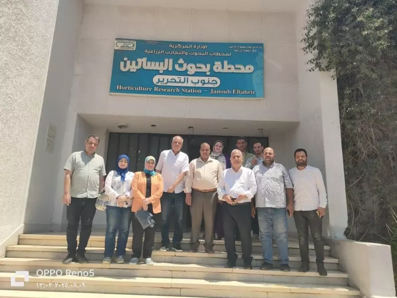 الزراعة