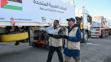 دولة الإمارات
