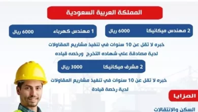 وزير العمل