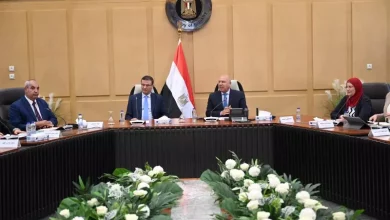 الصناعة