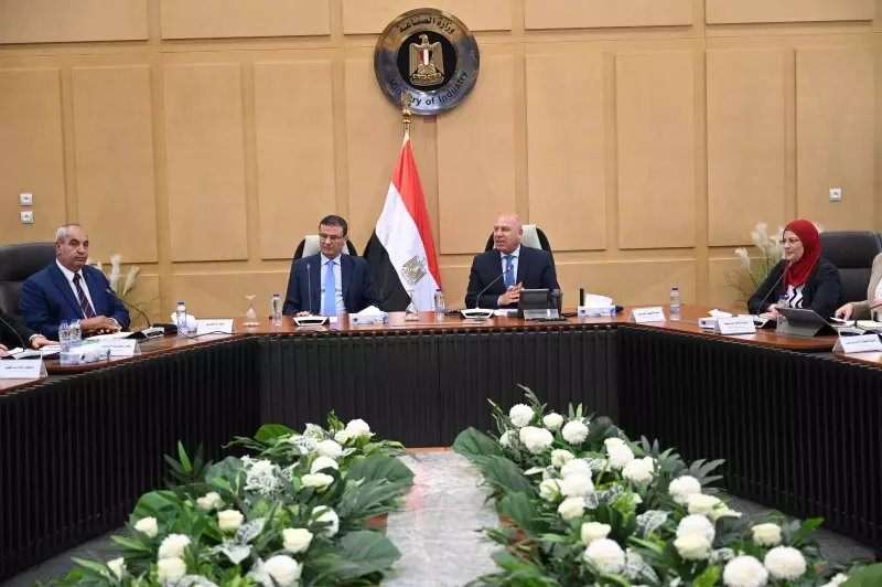 الصناعة