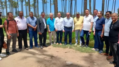 الزراعة