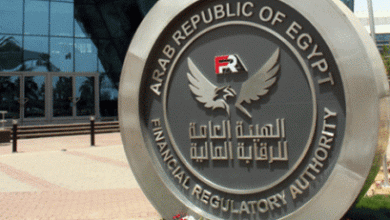 الرقابة المالية