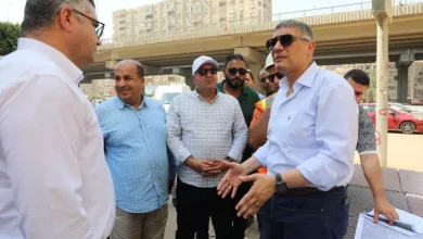 الجيزة
