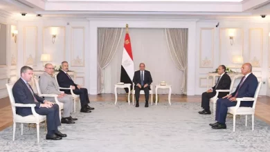 السيسي
