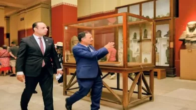 النيابة الإدارية