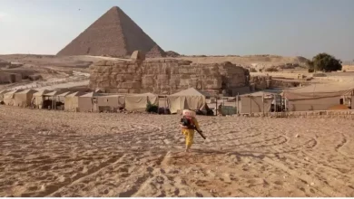 أوراسكوم