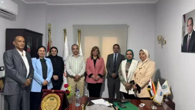 العاصمة الإدارية