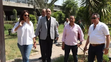 الجيزة