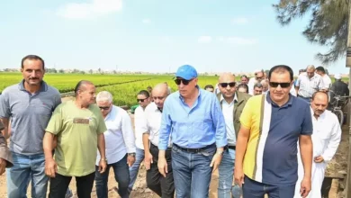 وزير الري