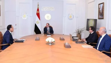 السيسي