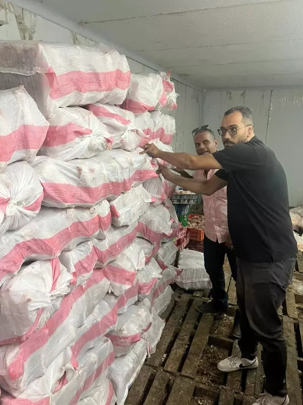 الجيزة