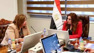 التنمية المحلية