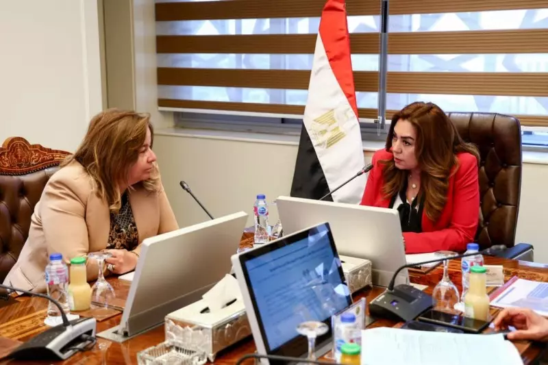 التنمية المحلية