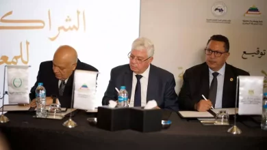 التعليم العالي