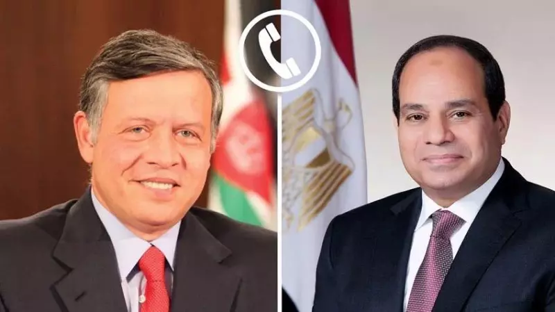 السيسي