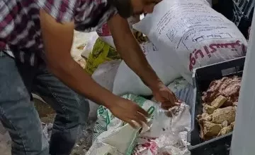 الجيزة