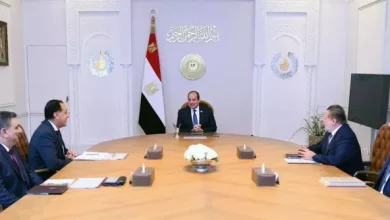 السيسي