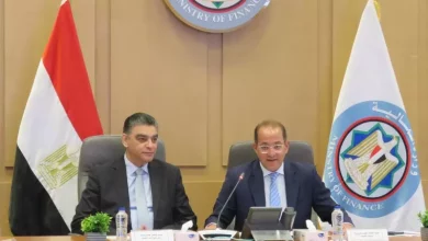 وزير المالية