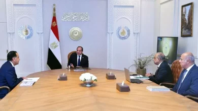 السيسي