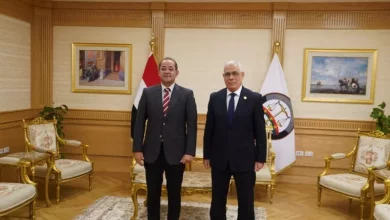 وزير المالية
