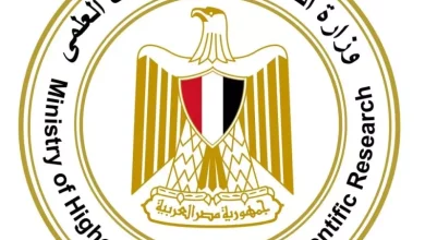 التعليم العالي